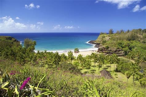 National Tropical Botanical Garden: Kauai Attractions Review - 10Best ...