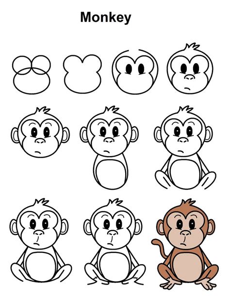 Monkey | Easy cartoon drawings, Monkey drawing, Monkey drawing easy