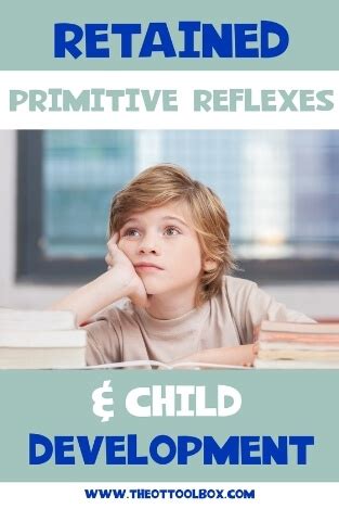 Retained Primitive Reflexes & Child Development - The OT Toolbox