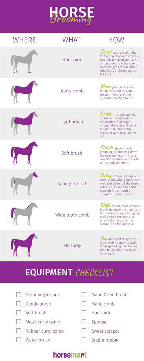 Horse Lessons, Riding Lessons, Horse Braiding, Horse Information, Healthy Horses, Horse Riding ...