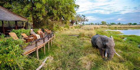 Luxury Safari Lodges & Camps in Botswana | Yellow Zebra Safaris