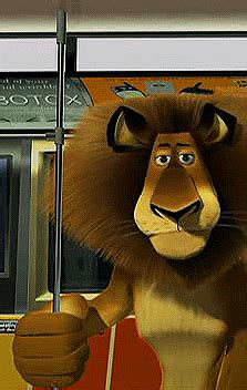 Madagascar Alex Quotes. QuotesGram