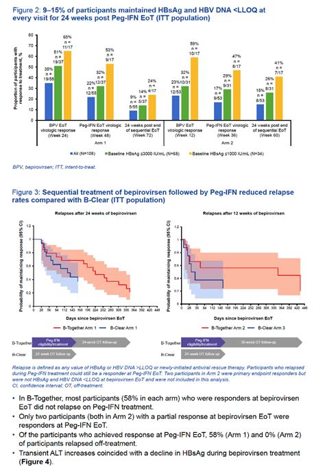 Pegylated Interferon Reduces Relapses Following Bepirovirsen Treatment in Participants With ...