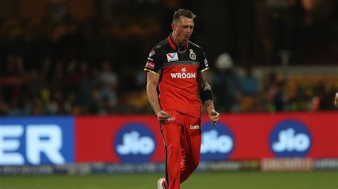 Dale Steyn keen on playing IPL next year