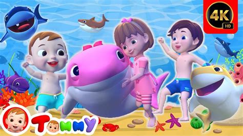 BABY SHARK 4K | Baby Shark Doo Doo Doo For Babies | Tommy - Nursery Rhymes & Kids Songs - YouTube