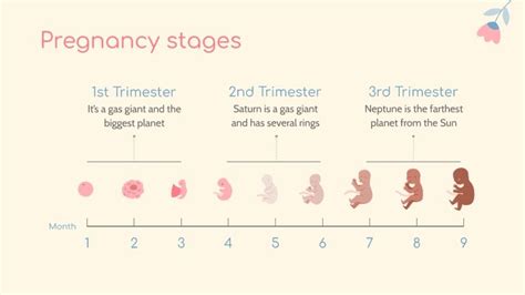 Pregnancy Calendar Google Slides and PowerPoint template