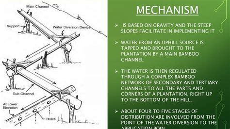 Bamboo drip irrigation