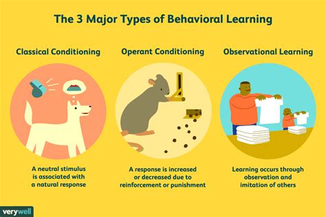 3 major learning theories :Behaviorism, Cognitivism and Constructivism - Someone's White Star