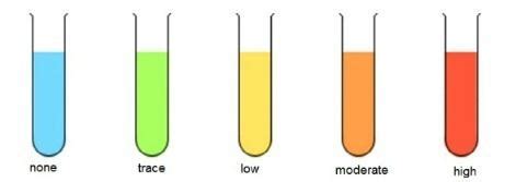 Benedict's reagent ~ Everything You Need to Know with Photos | Videos