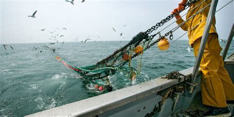 Trawling and the Threat to Underwater Cultural Heritage