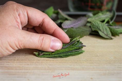 Ways To Dry Sage Leaves - Dehydrator, Microwave, Air-Dry, Oven