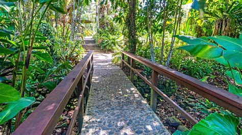 Cool change comes with visit to Cairns Botanic Gardens | Sunshine Coast Daily