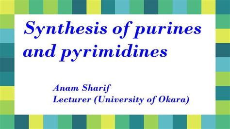 Synthesis of purines and pyrimidines | PPT