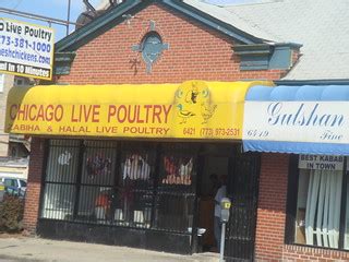 Chicago Live Poultry | Daniel X. O'Neil | Flickr