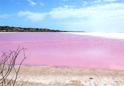 What is secret behind the Australia’s mysterious pink lake? - Weekly Recess