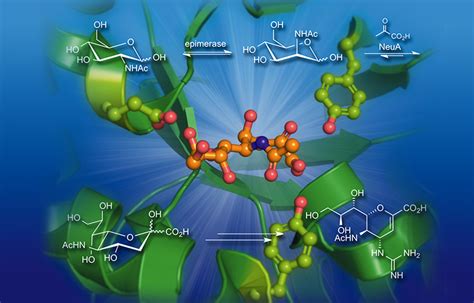 Biocatalysis in Organic Synthesis 1-3 - Thieme Chemistry - Georg Thieme Verlag