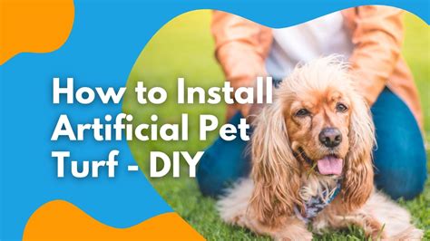 How to Install Artificial Pet Turf - DIY