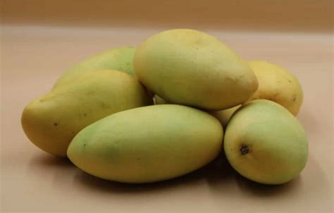 FROM MANILA BULLETIN: 9 new varieties that will strengthen the Philippine mango industry ...