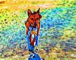 Basenji T-shirts, Note Cards, Mugs and more!