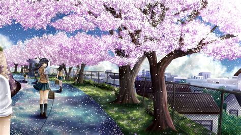 Anime Cherry Blossom HD Wallpapers - Wallpaper Cave