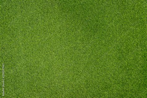 Texture of small green grass background. Close up ground garden. Stock ...