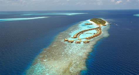 Lily Beach Resort | The Maldives Experts for all Resort Hotels and Holiday Options