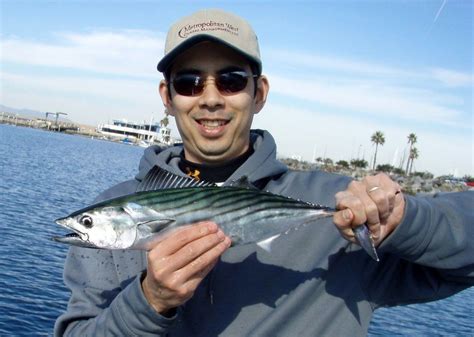 How to Catch Bonito - Tips for Fishing for Bonito