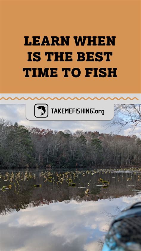 Fishing Tips, Bass Fishing, Fishing Boats, Best Fishing Times, Boating ...