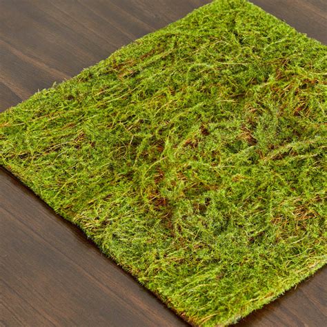 Green Water Sphagnum Moss Sheet - Drieds + Natural Botanicals - Floral Supplies - Craft Supplies ...