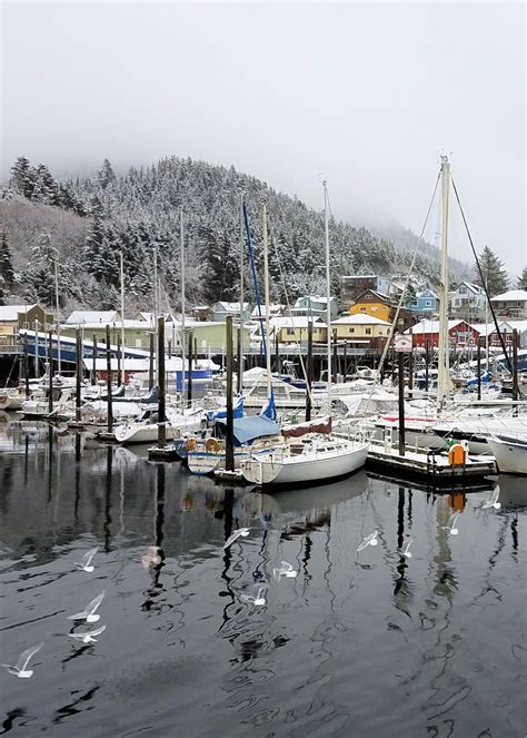 Snow Day in Ketchikan, Alaska | Southeast Sea Kayaks