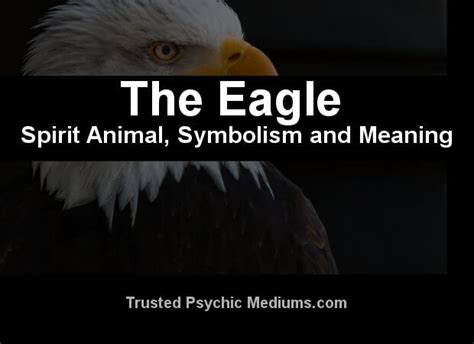 The Eagle Spirit Animal - A Complete Guide to Meaning and Symbolism.