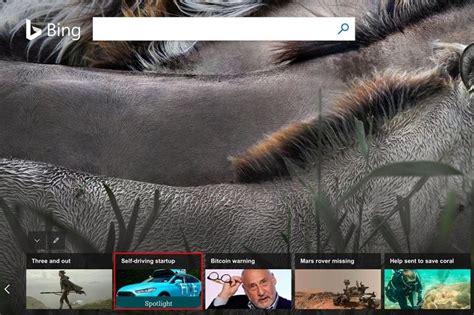 Microsoft's Bing Spotlight arrives in the United Kingdom - Neowin