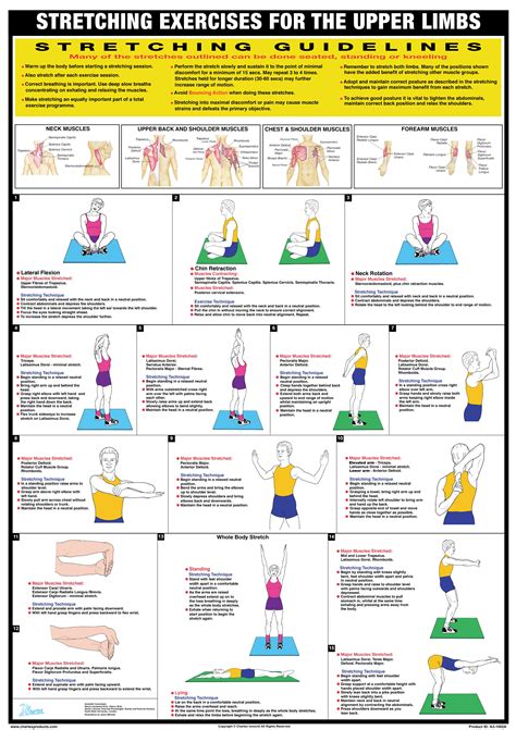 Stretching Exercise Poster - Upper Body