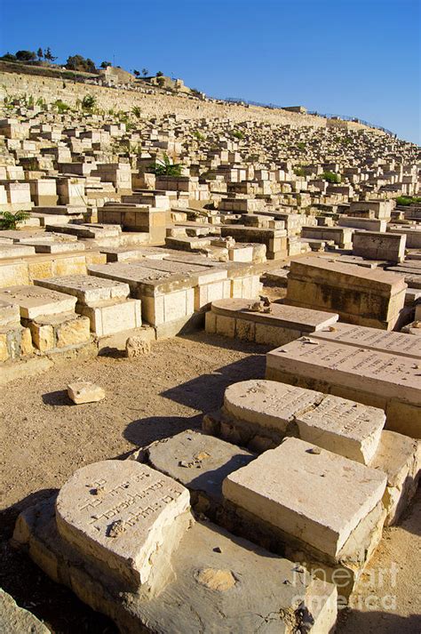 Mount Of Olives Cemetery Photograph by Mark Williamson/science Photo ...