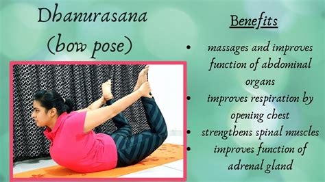 Dhanurasana Bow Pose | Benefits | Precautions | Steps | Beginner Yoga ...