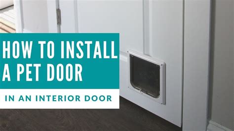 How to Install a Pet Door in an Interior Door - YouTube