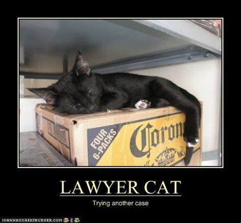 Pin by DeLoach, Hofstra & Cavonis, P. on Lawyer Jokes and Law Humor | Funny cat pictures, Lawyer ...