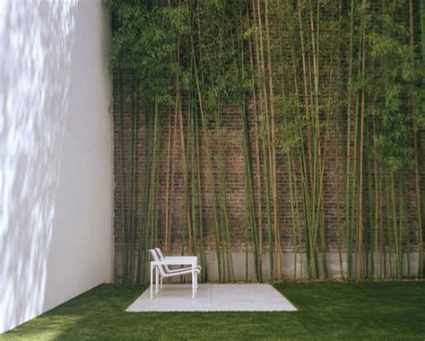 Urban Garden with Bamboo Wall Decoration - Interior Design Ideas