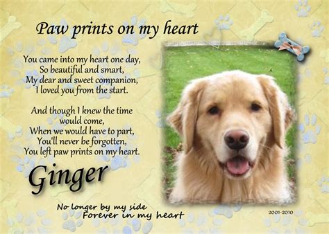 Pet Paw Prints Memorial Quotes. QuotesGram