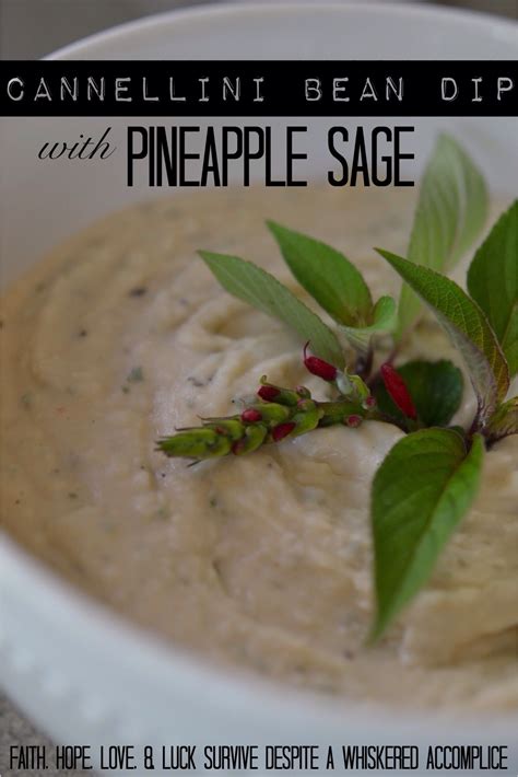 Cannellini Bean Dip with Pineapple Sage | Pineapple sage, Cannellini ...