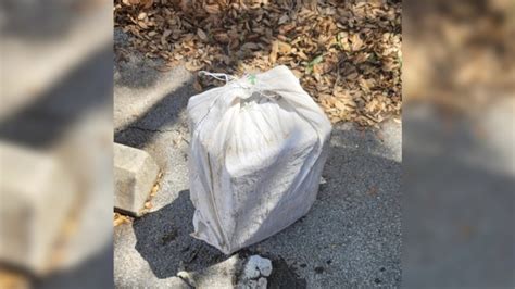 Beachgoer finds 20 bricks of cocaine washed up on popular Florida beach | WKRG