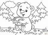 Urs De colorat  Desene Gratis sketch template