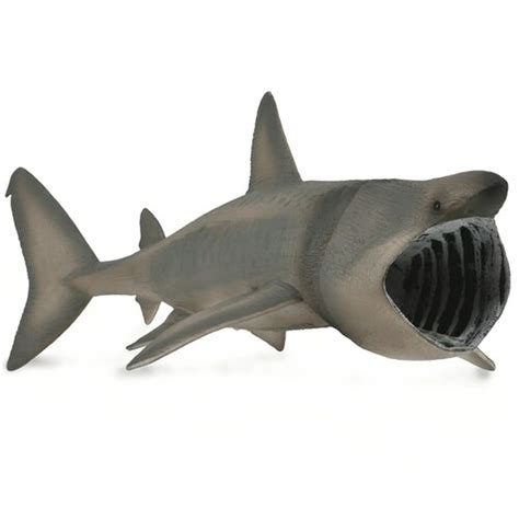 CollectA Basking Shark – Animal Kingdoms Toy Store