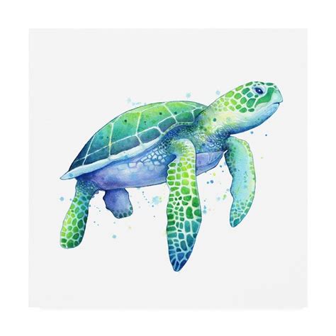 Trademark Fine Art Sam Nagel "Green Sea Turtle Painting" 18x18 Canvas ...