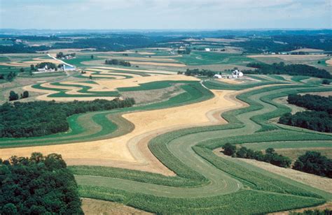 How does strip cropping prevent soil erosion