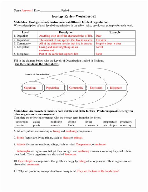 Levels Of Organization Worksheet Ecology