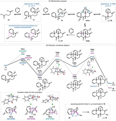 (A) Diastereoselective cyclization of pyridine and glutaryl chloride ...