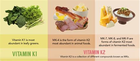 Vitamin K2: Everything You Need to Know - MD Keto Home & Garden Malaysia