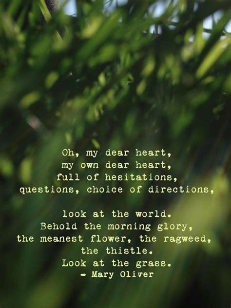 Nature Poetry Quotes. QuotesGram