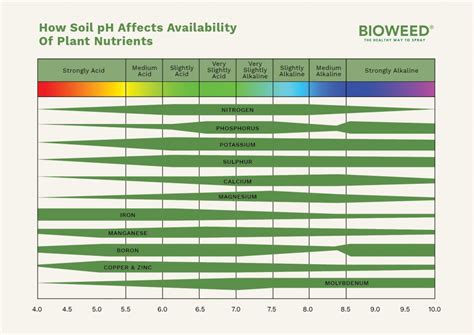 What Is Soil pH And Why It Matters - Bioweed